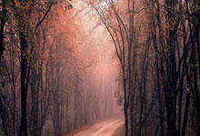 九游APP-童话终章：当丹麦战车停驻在黎明之前