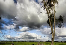 九游中国-48小时血战两城！揭秘XX队魔鬼赛程背后的钢铁基因