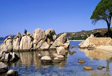 九游VIP-西悉尼流浪者伤病名单更新，关键球员状态备受关注