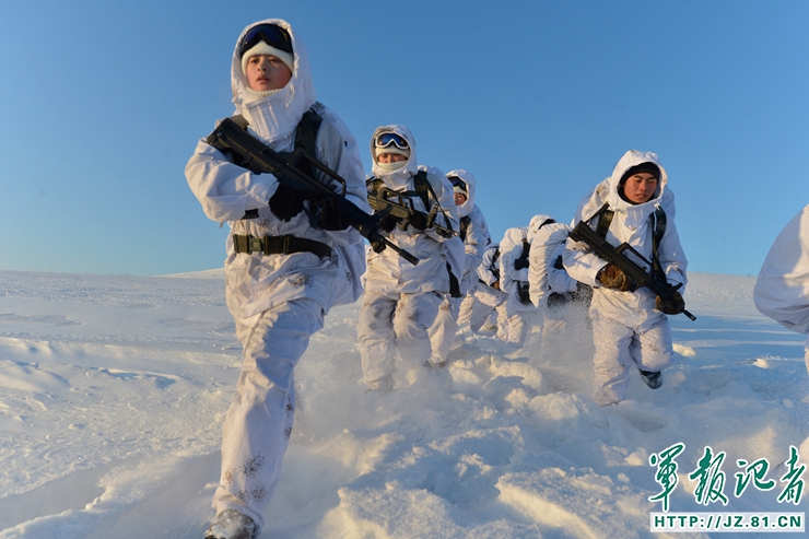 国内劲旅众志成城，迎接挑战夺冠之路的简单介绍
