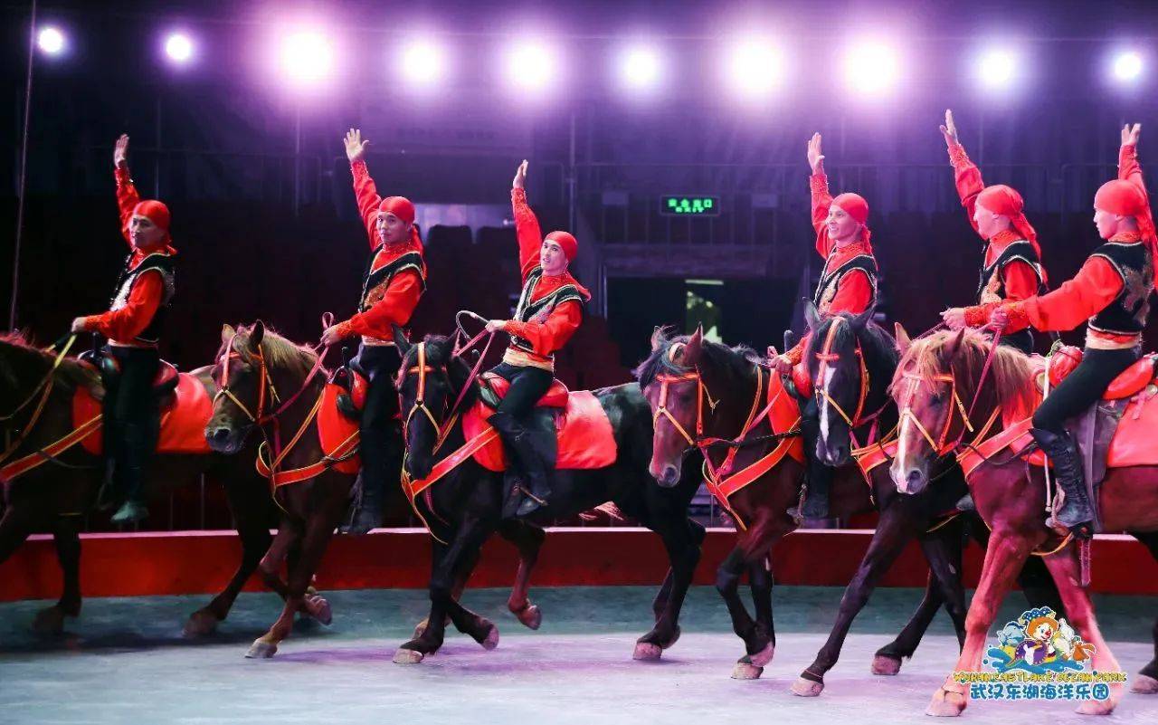 惊心动魄！马术比赛场上骑士与马的默契合作