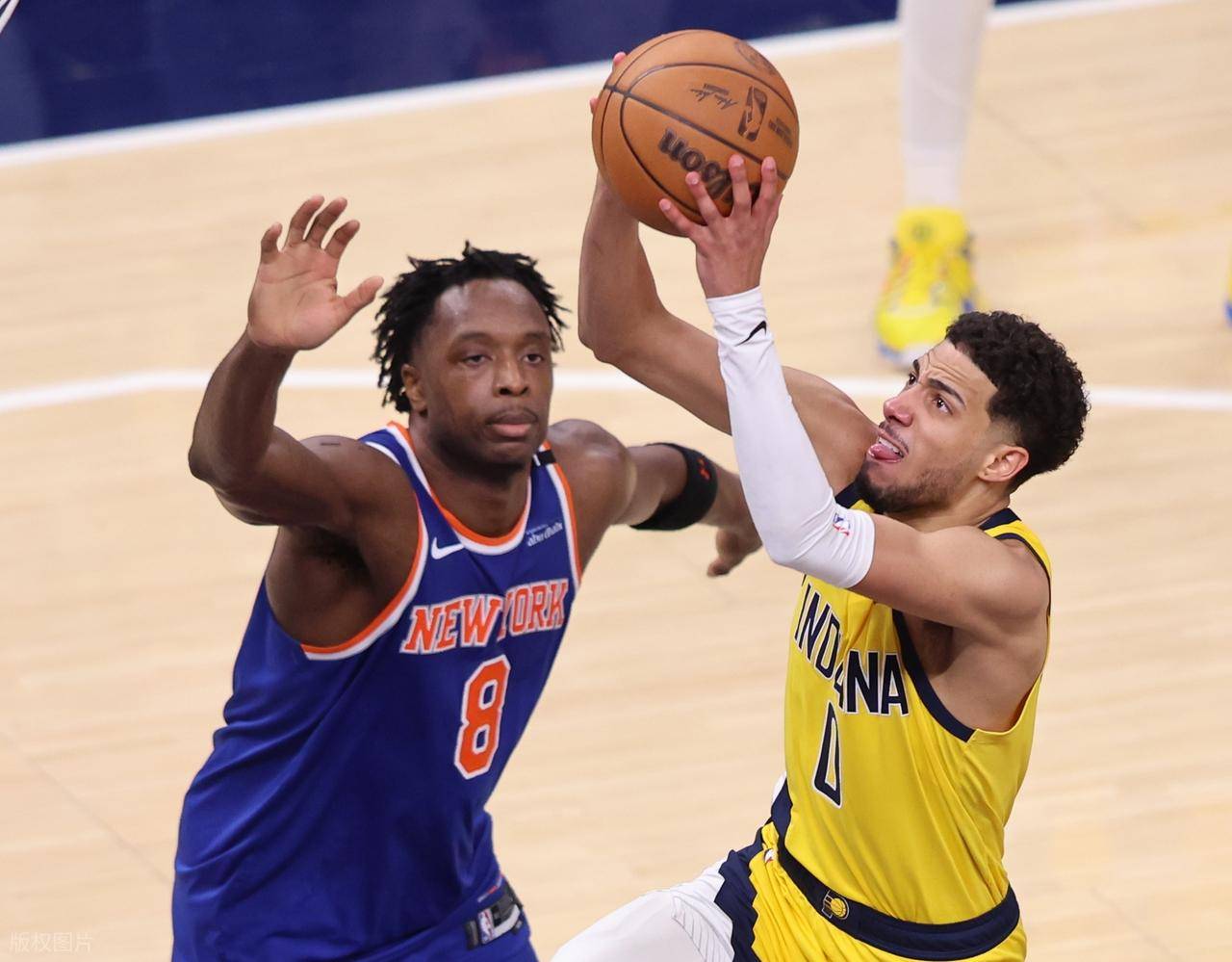 尼克斯队球员集训优异表现获认可的简单介绍