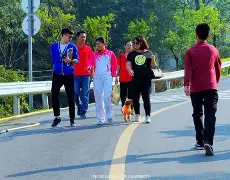 步行者战胜老鹰创造历史的简单介绍 步行者战胜老鹰创造历史的简单介绍